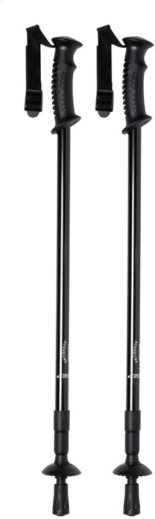 Trekingov hole Pulpit, ern