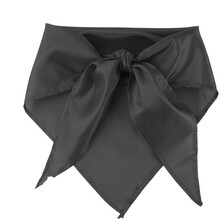 ��tek Capra, �ern�