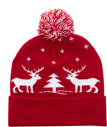 Vnon zimn epice Skandimos, erven