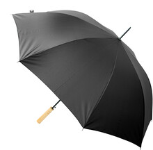 RPET detnk Asperit, ern