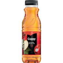 Dus Cappy 0,33l jablko plast