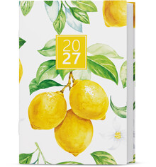 Di�� t�denn� GUSTAV 75x115 Lamino, Citron